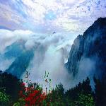 ����Ⱥ��